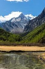 手机花果水果机无限币-手机花果水果机，无限币的乐趣与探索